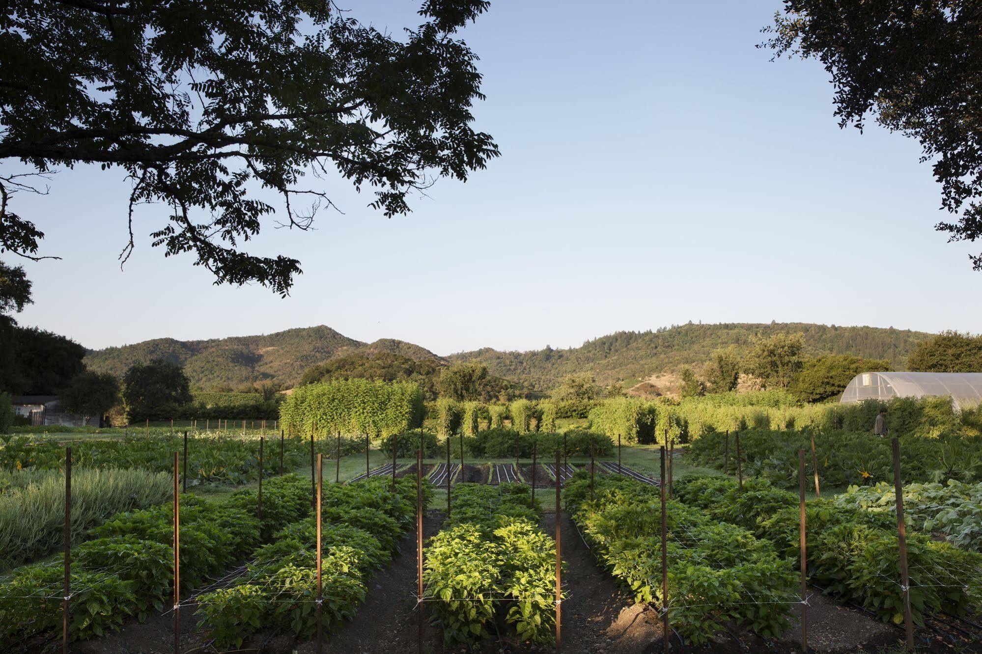 Napa Valley Lodge Yountville Buitenkant foto